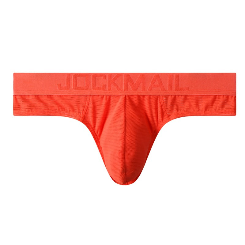 Men's Sexy Fluorescent Mesh Bikini