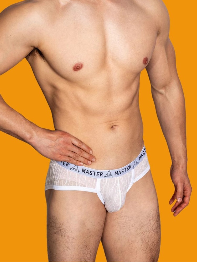 2 Pack Men's Low-Rise Sexy Lace U-Pouch Briefs