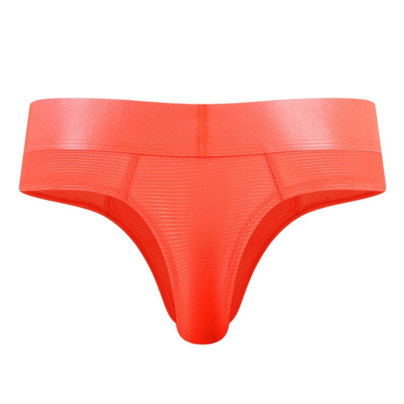 Men's Sexy Fluorescent Mesh Bikini