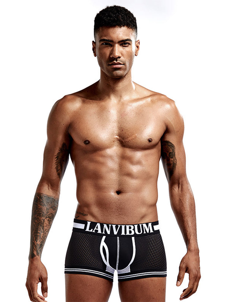 メンズ メッシュ 通気性 速乾 セクシー ナイロン トランクス 4枚組