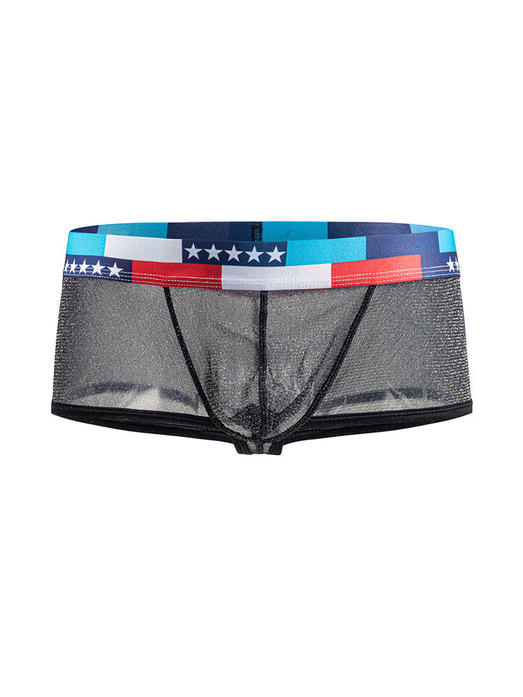 4-pack Men's Low-rise See-through Micro-mesh Pouch Shiny U-convex Wide-edge Boxer Briefs