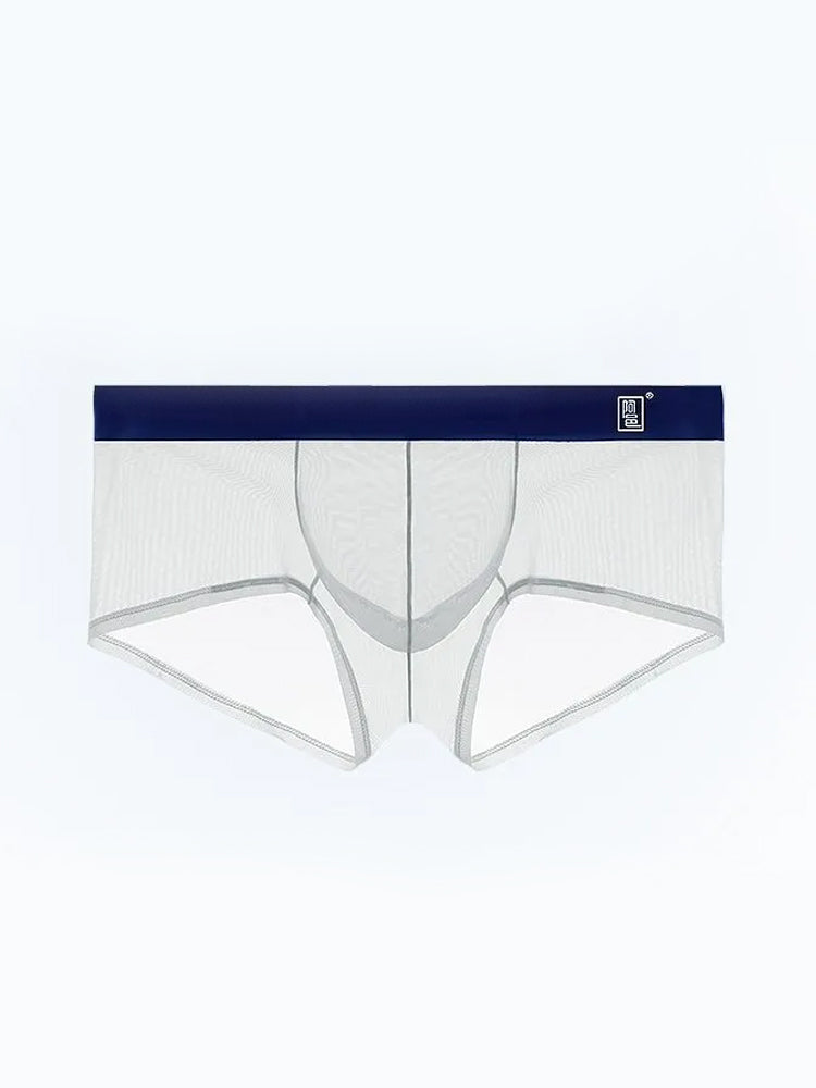 Men's Ultra-thin Low-Rise See-Through Ice Silk Briefs