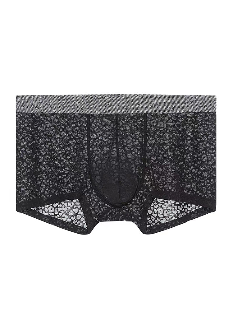 メンズ レース 通気性 吸汗速乾 トランクス 3枚組