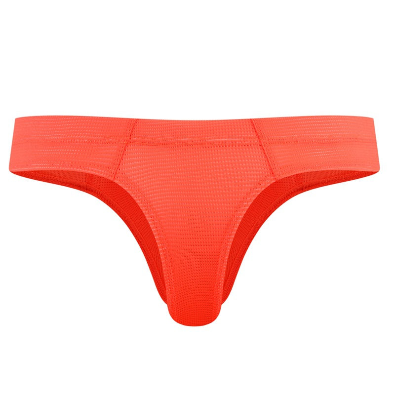 Men's Simple Breathable Mesh Pouch Bikini