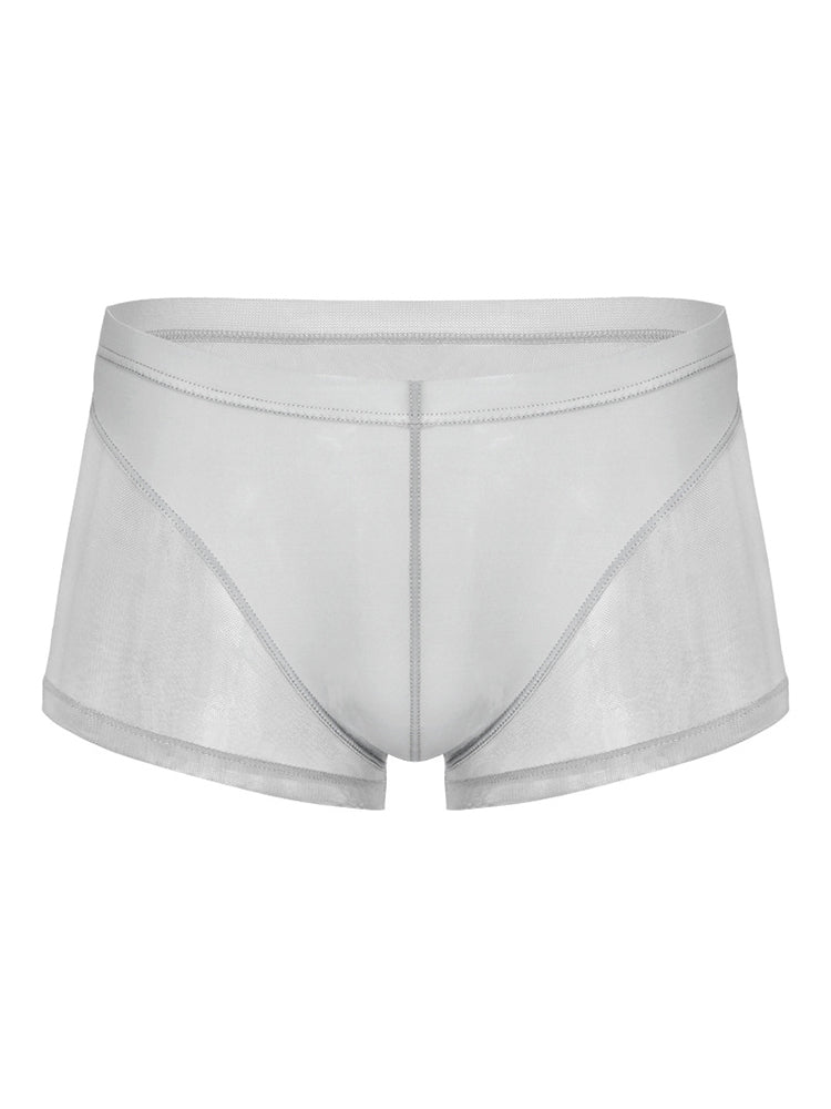 Sexy Panelled Mesh Trunks For Men