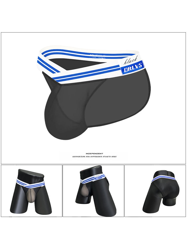 メンズセクシー半透明メッシュブリーフ2枚組