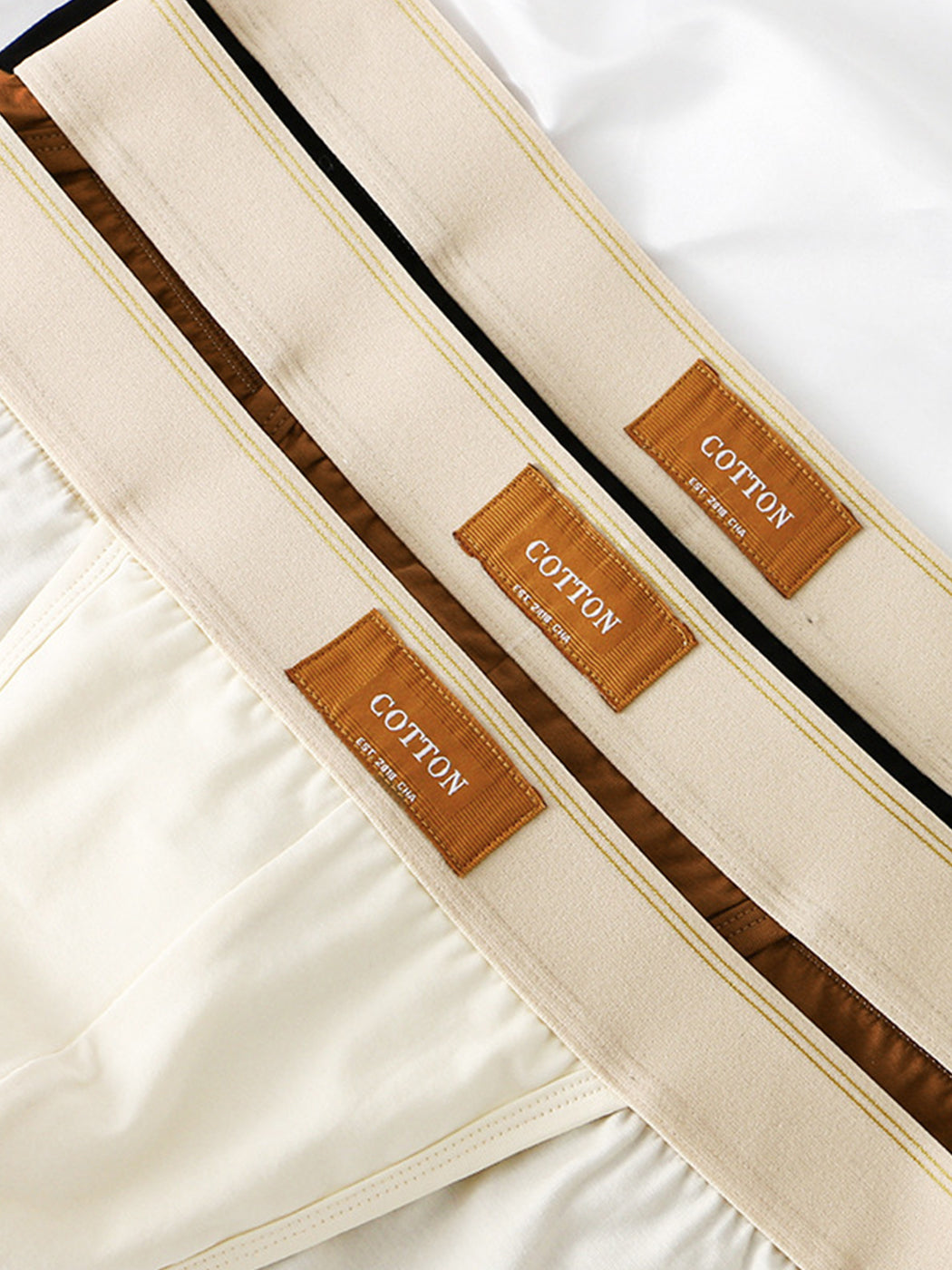 3 Pack Men's Sexy High Cut Cotton Bikini