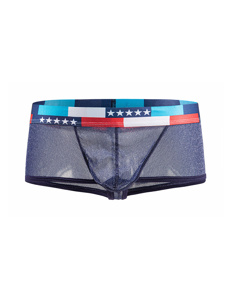 4-pack Men's Low-rise See-through Micro-mesh Pouch Shiny U-convex Wide-edge Boxer Briefs