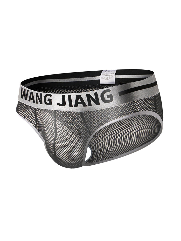 2 Pack Men's Sexy Mesh Sheer Briefs with U-Shaped Pocket