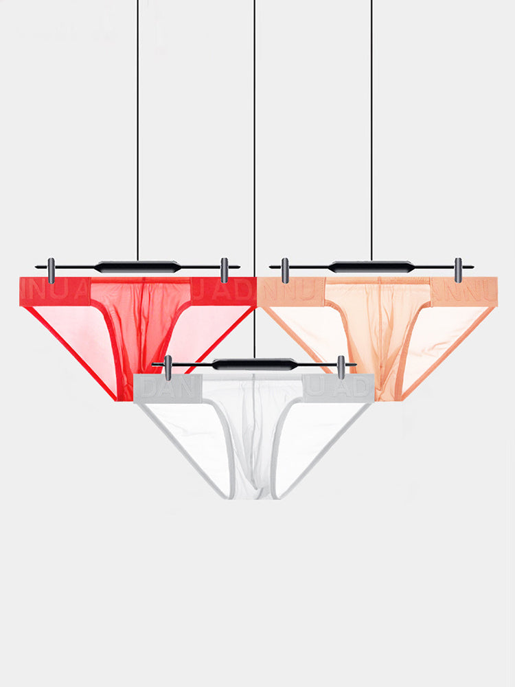 2 Pack Ultra-Thin Men's Breathable Semi-Transparent Sexy Bikini