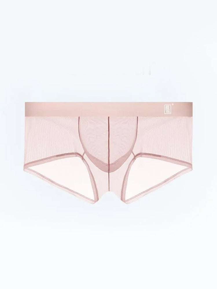 Men's Ultra-thin Low-Rise See-Through Ice Silk Briefs