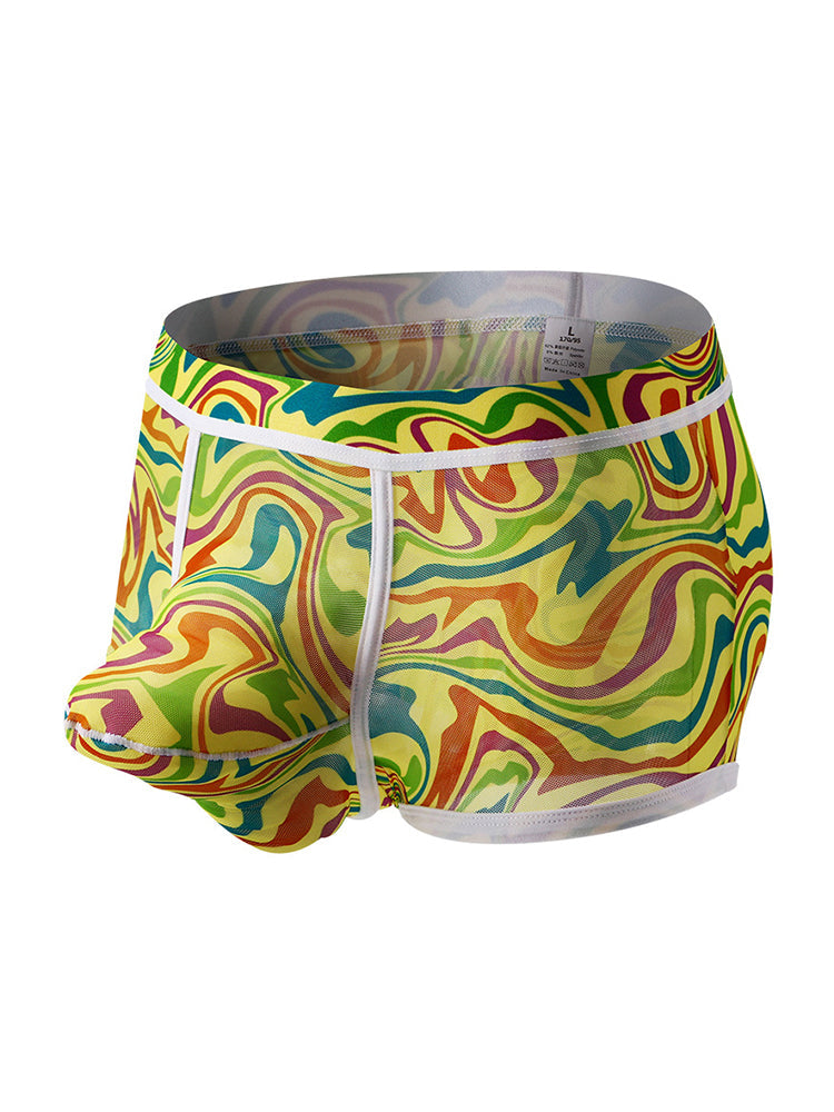 2-pack Men's Mesh Elephant Nose Transparent Boxer Briefs