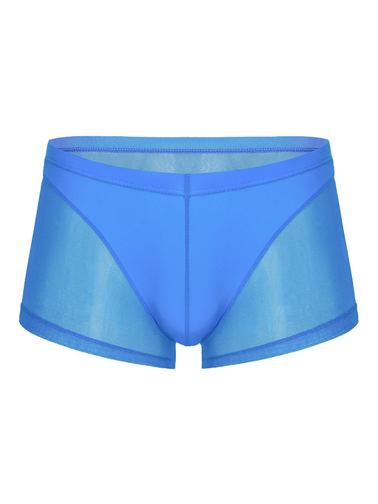 Sexy Panelled Mesh Trunks For Men
