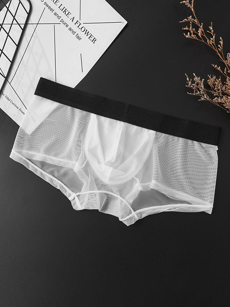 2-Pack Men's Breathable Mesh Ice Silk U-convex Low Waist Boxer Briefs