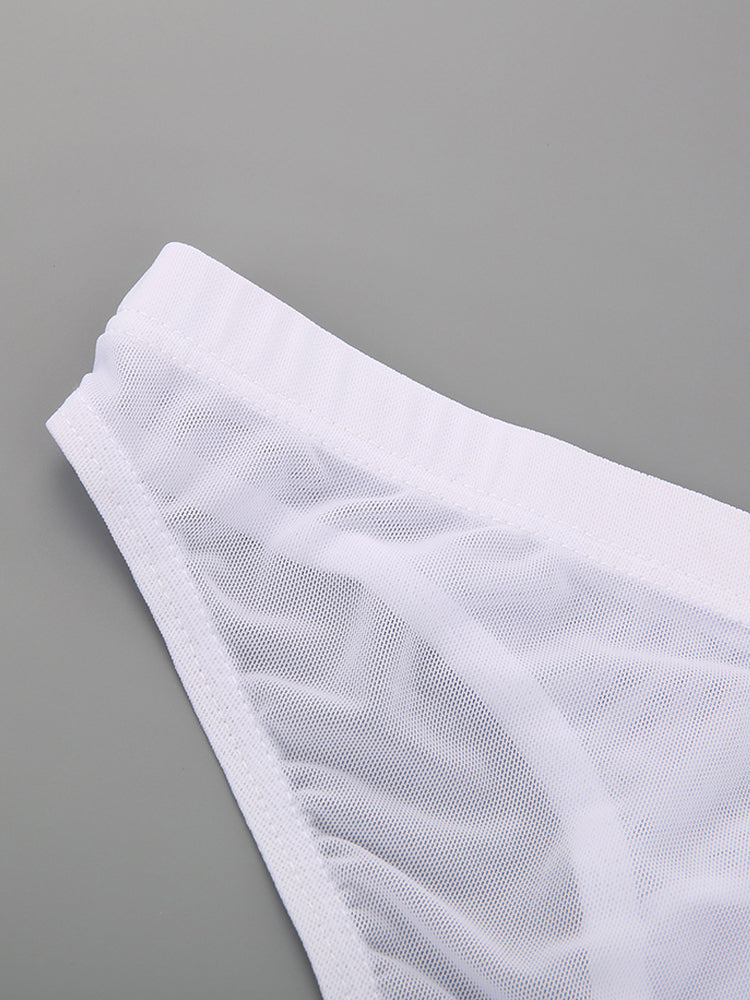 2 Pack Men's Seductive Mesh Sheer Briefs