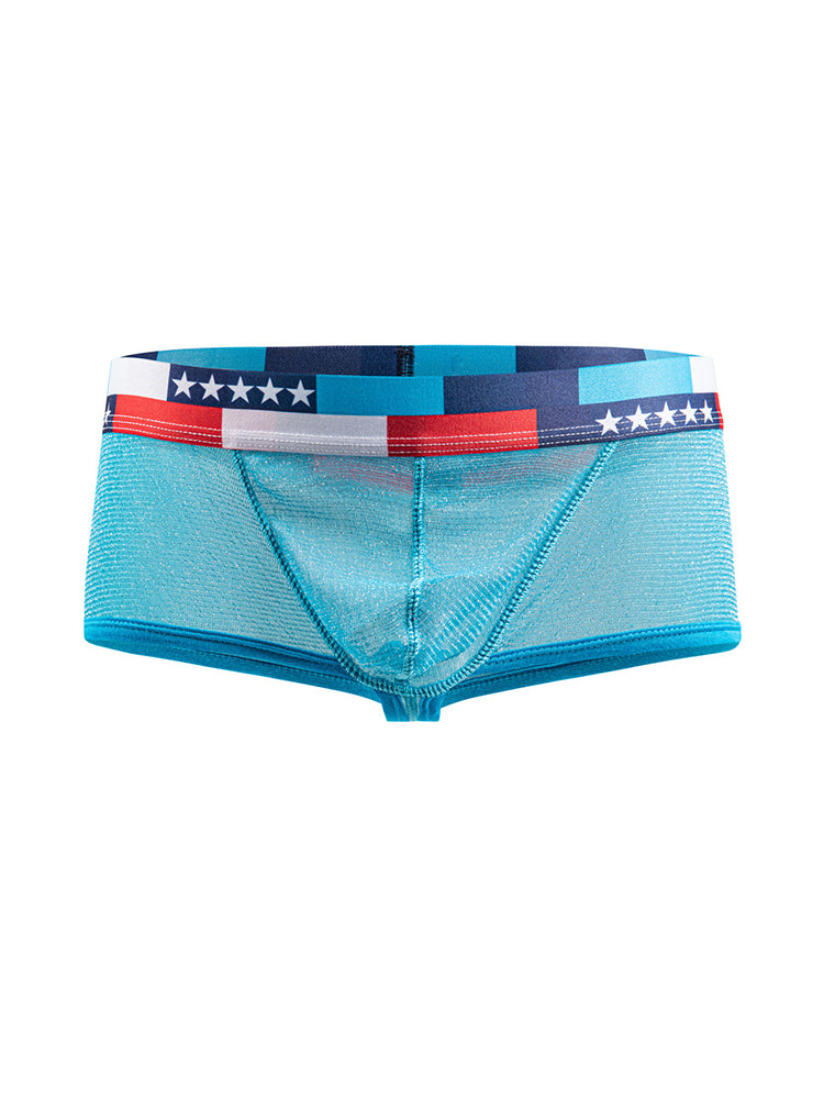 4-pack Men's Low-rise See-through Micro-mesh Pouch Shiny U-convex Wide-edge Boxer Briefs