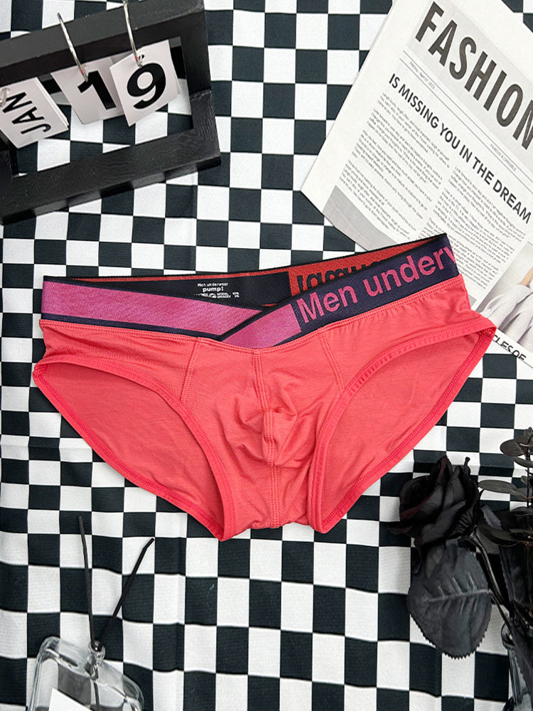 2 Pack Men's V Waistband Modal Briefs