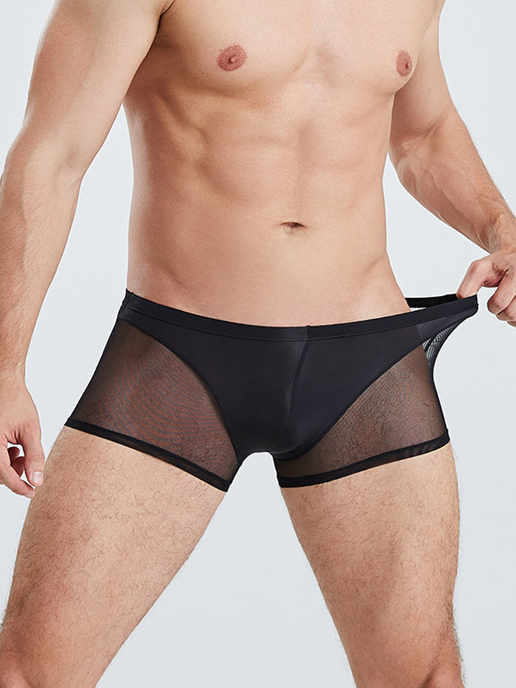 Sexy Panelled Mesh Trunks For Men