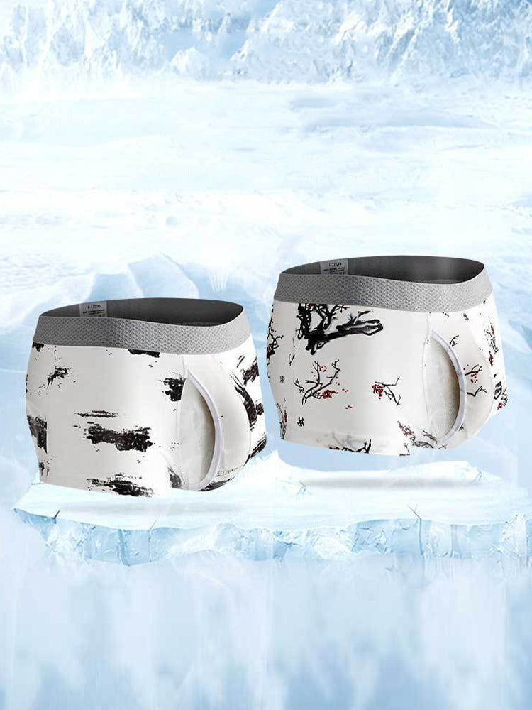 2 Pack Men's U-Pouch Side Vent Printed Trunks