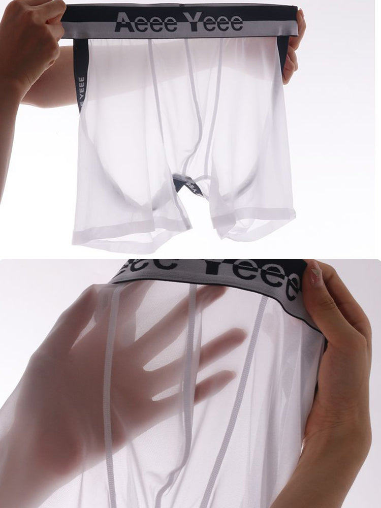 メンズ アイスシルク ヒップホローメッシュ ボクサーブリーフ