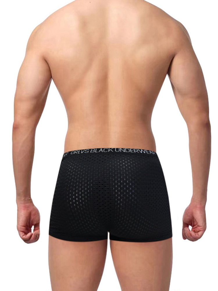 2 Pack Men's Sexy V-shape Waistband Mesh Trunks