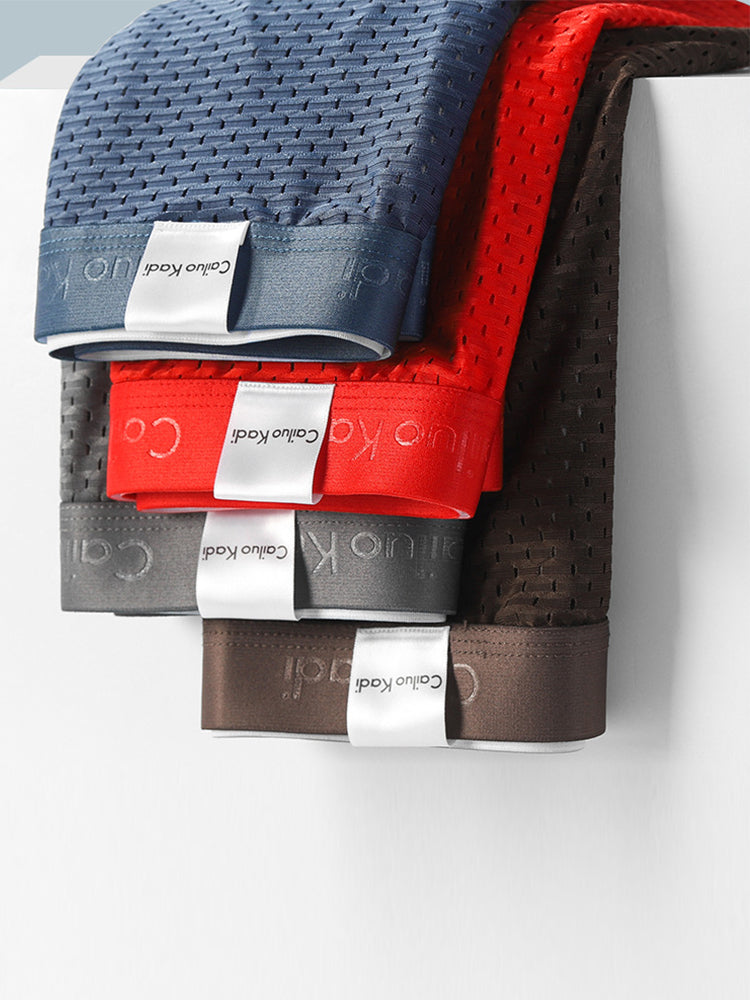 4 Pack Breathable Ice Silk Antibacterial Men's Briefs