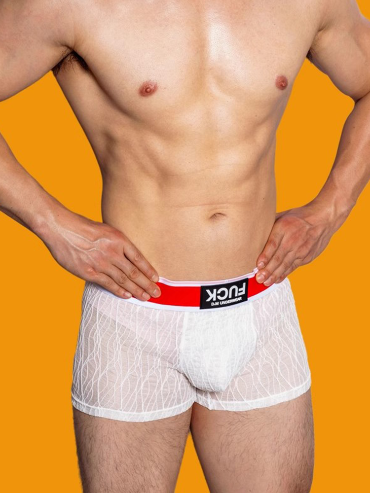 メンズ レースメッシュ 速乾性 通気性 無地トランクス 3枚組