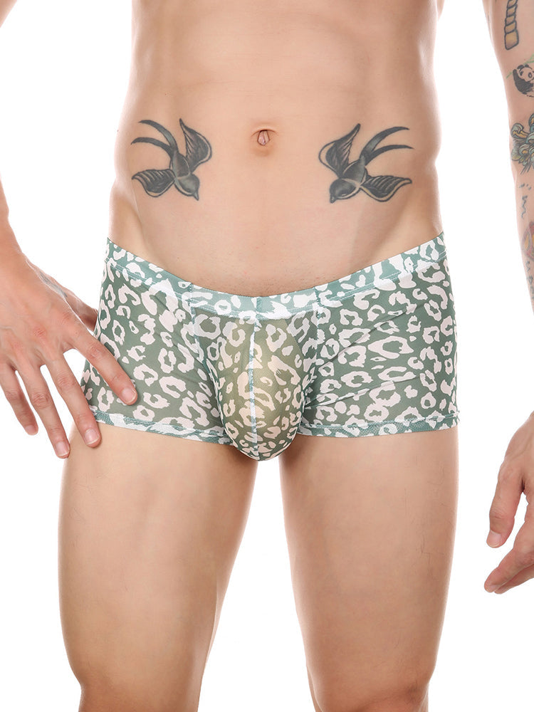 4 Pack Leopard Print See-through Mesh Trunks