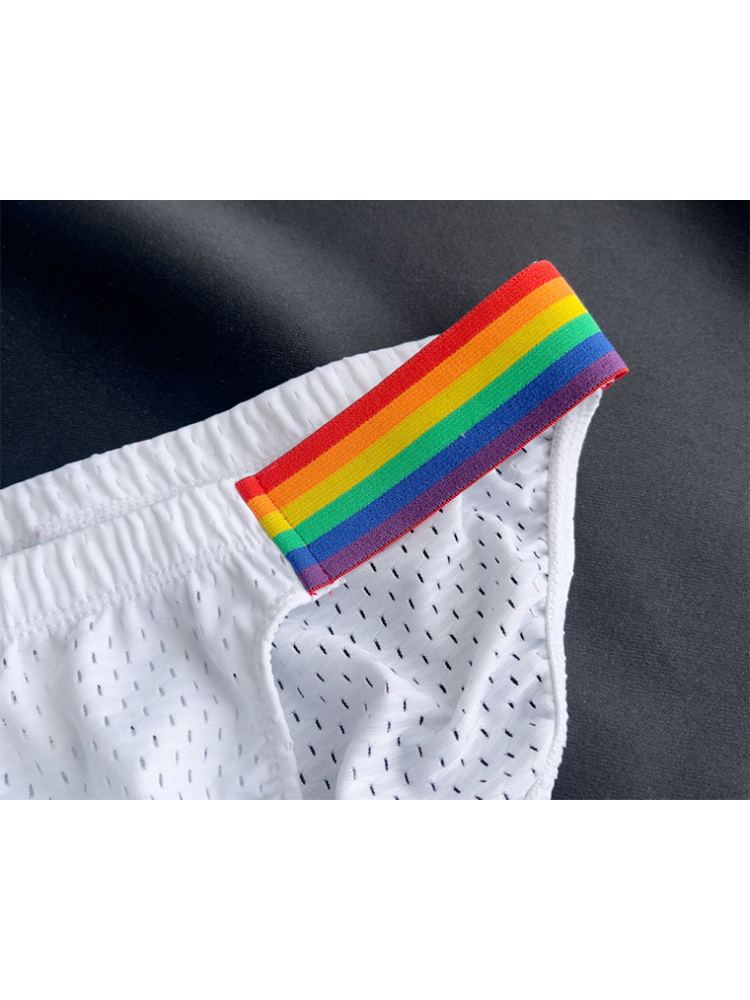 Men's Sexy Rainbow Pride Mesh Bikini