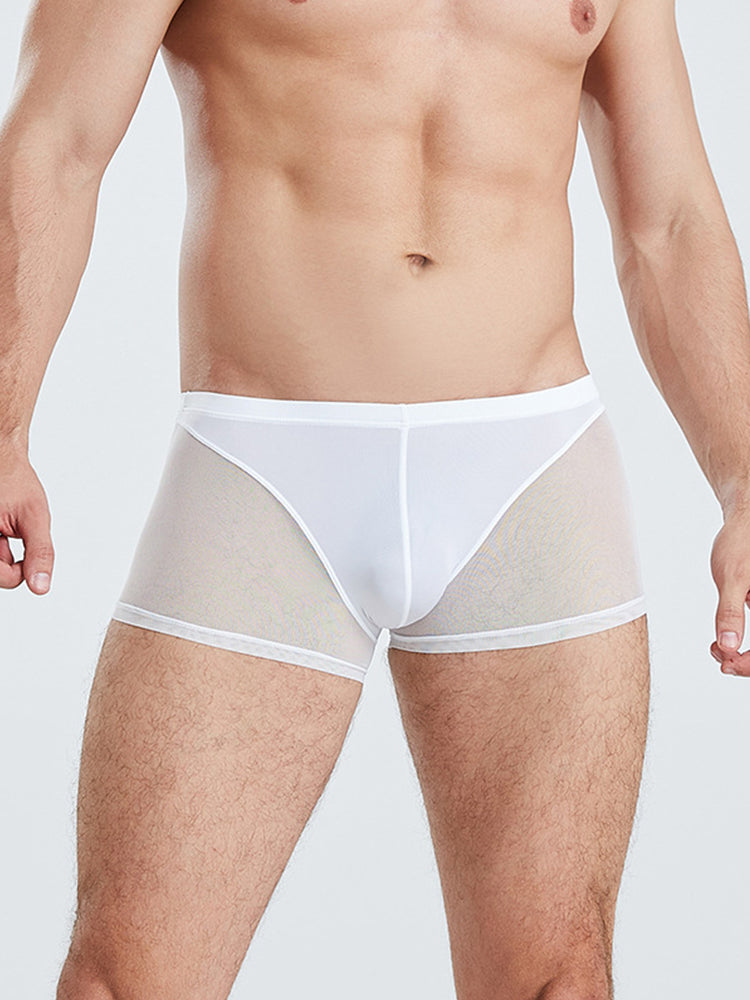 Sexy Panelled Mesh Trunks For Men