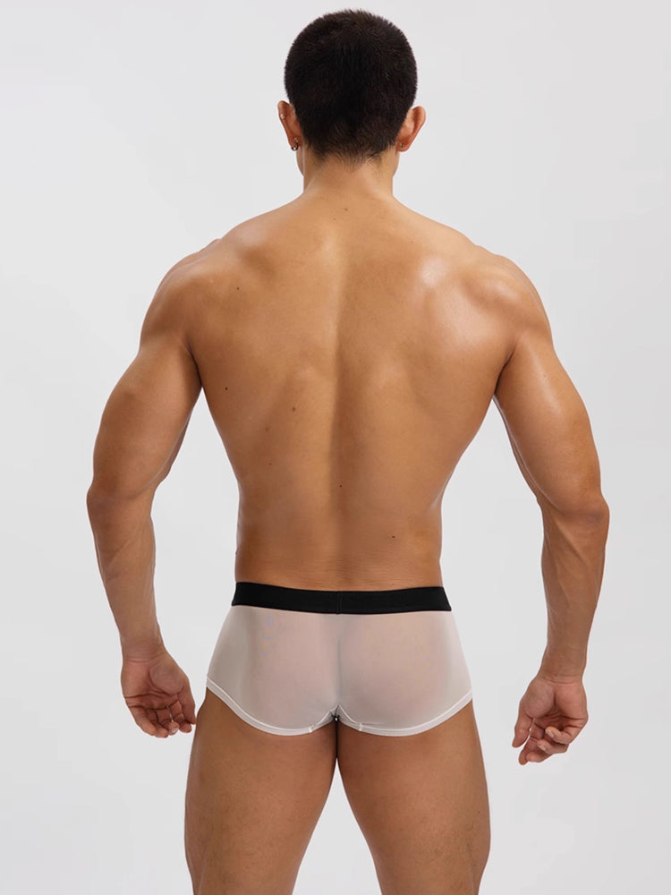 2-Pack Men's Breathable Mesh Ice Silk U-convex Low Waist Boxer Briefs