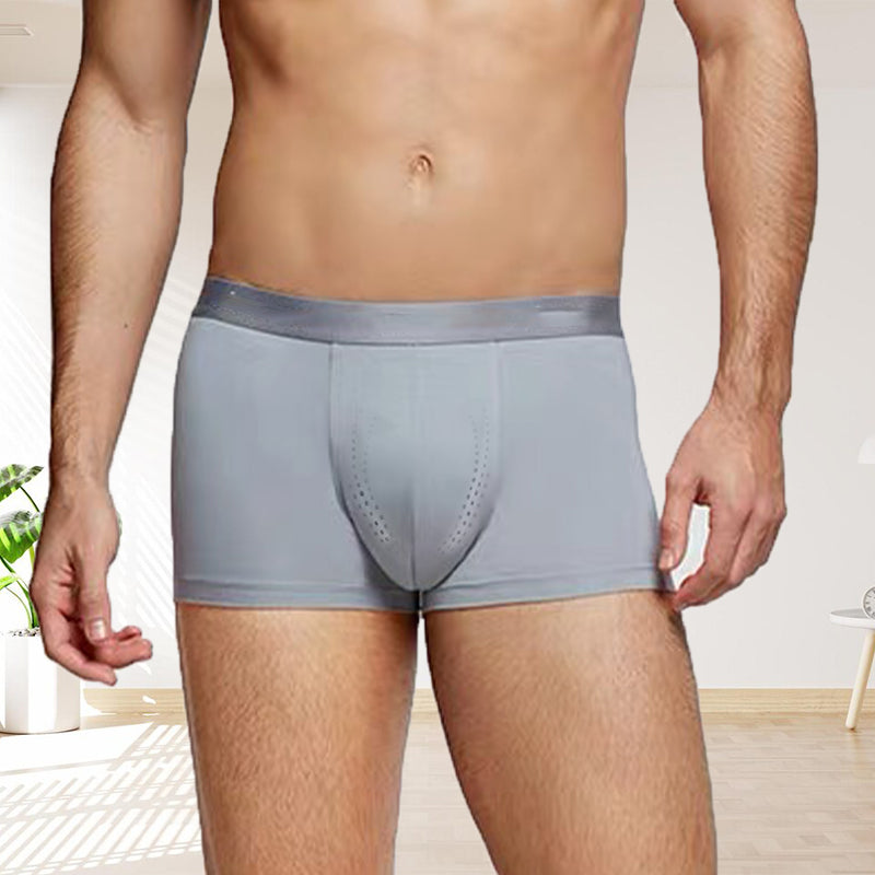 🎁Hot Sale 49% OFF⏳Men's Ice Silk Lightweight Boxer Briefs