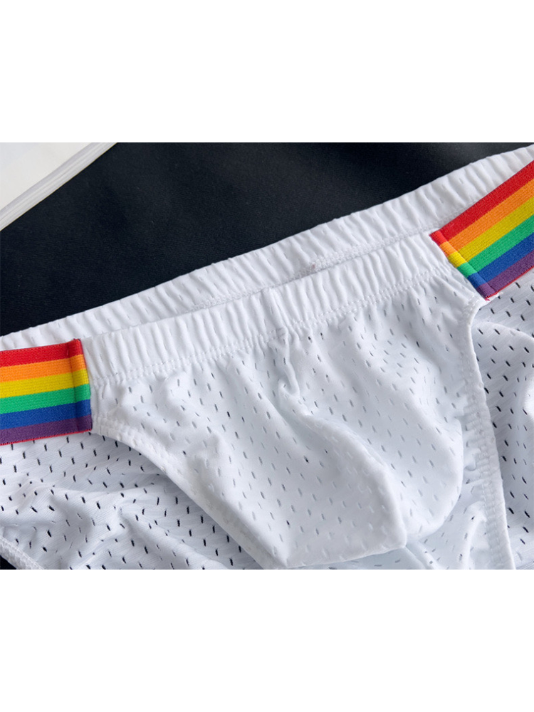 Men's Sexy Rainbow Pride Mesh Bikini