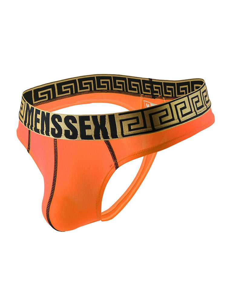 3 Pack Men's Sexy Thong Soft Breathable T-Back Briefs Seamless Briefs