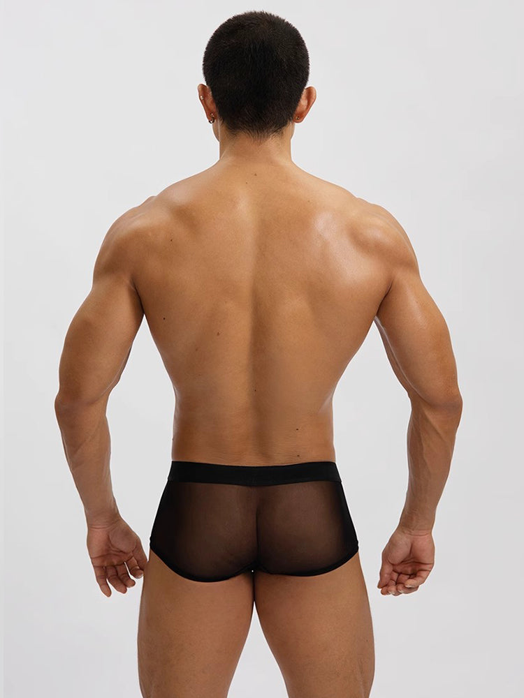 2-Pack Men's Breathable Mesh Ice Silk U-convex Low Waist Boxer Briefs