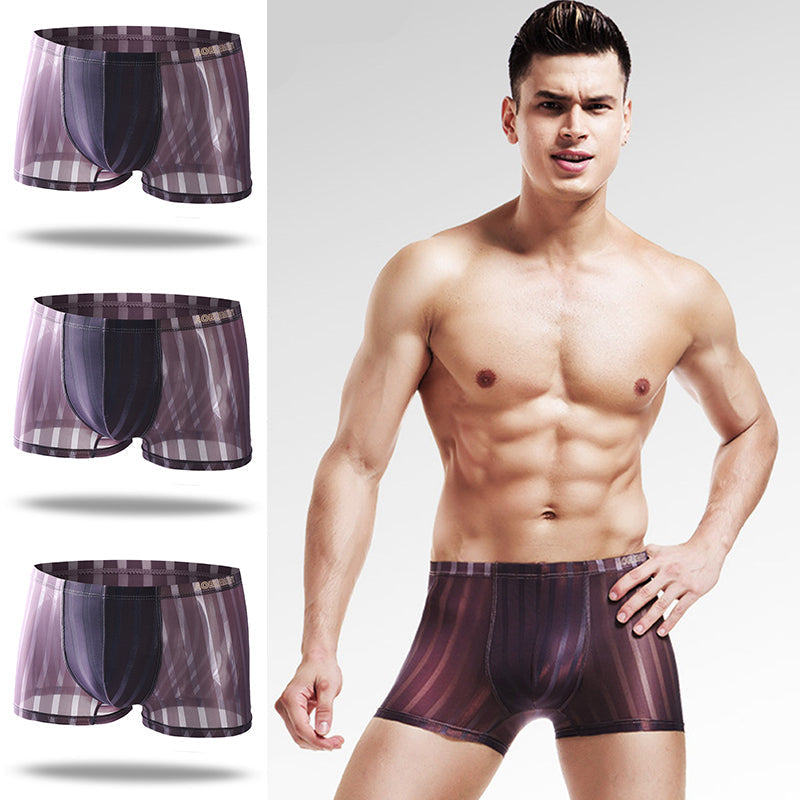 3 Pack See Through Breathable Men's Underwear