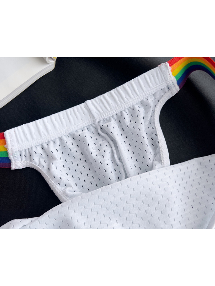 Men's Sexy Rainbow Pride Mesh Bikini