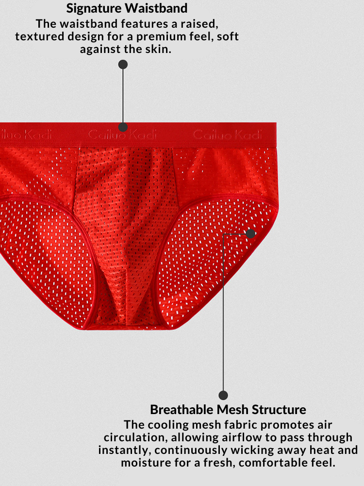 4 Pack Breathable Ice Silk Antibacterial Men's Briefs