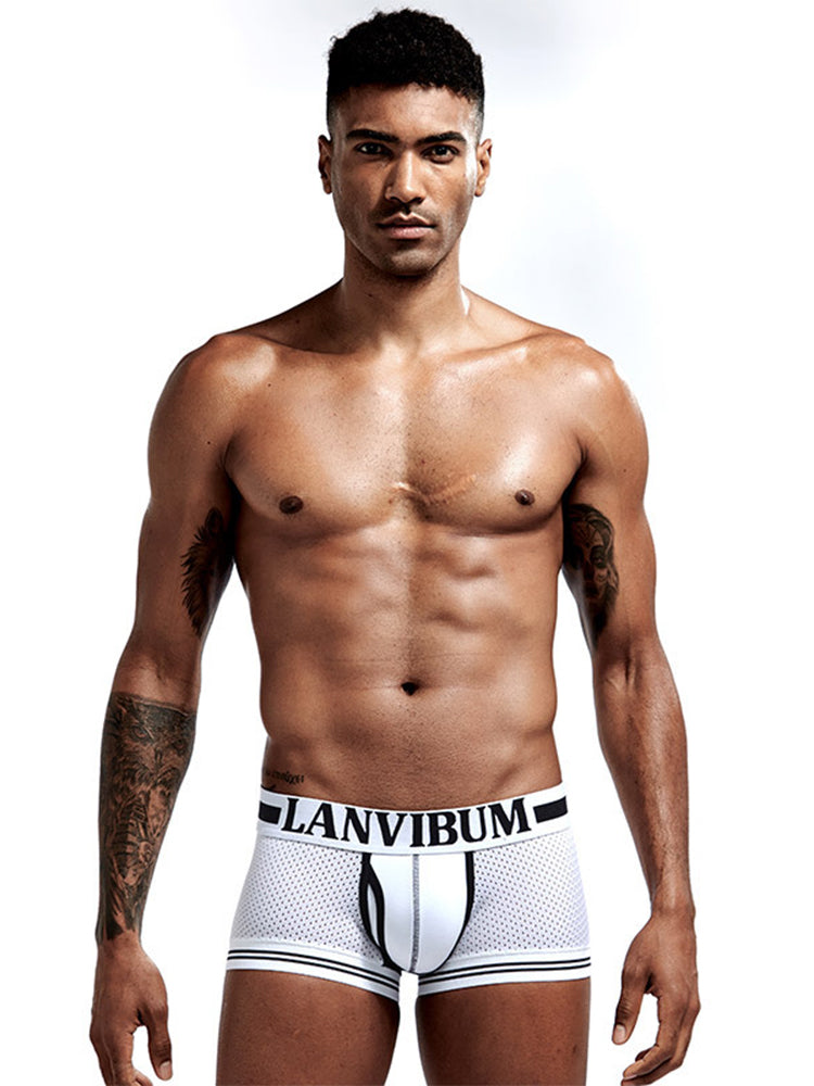 メンズ メッシュ 通気性 速乾 セクシー ナイロン トランクス 4枚組