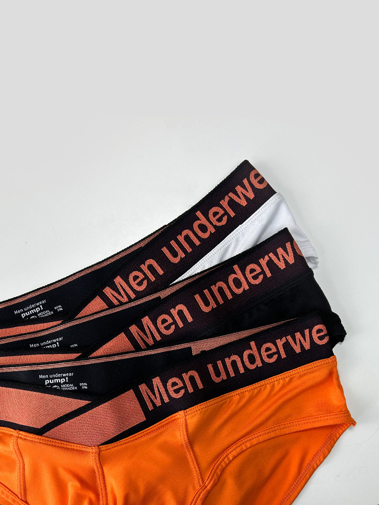 2 Pack Men's Stylish V-Shaped Waistband Briefs