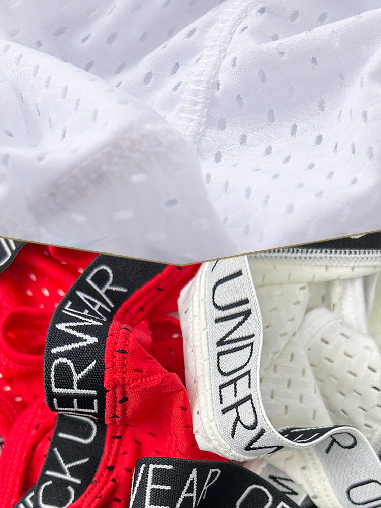 2 Pack Men's Sexy V-shape Waistband Mesh Bikinis