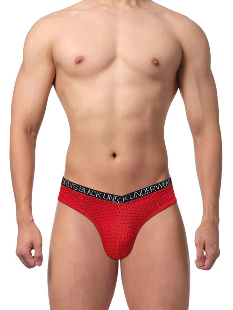 2 Pack Men's Sexy V-shape Waistband Mesh Bikinis