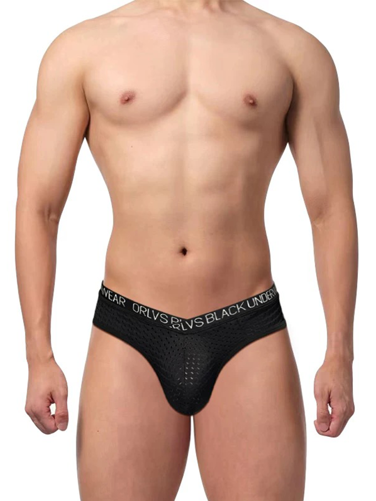 2 Pack Men's Sexy V-shape Waistband Mesh Bikinis