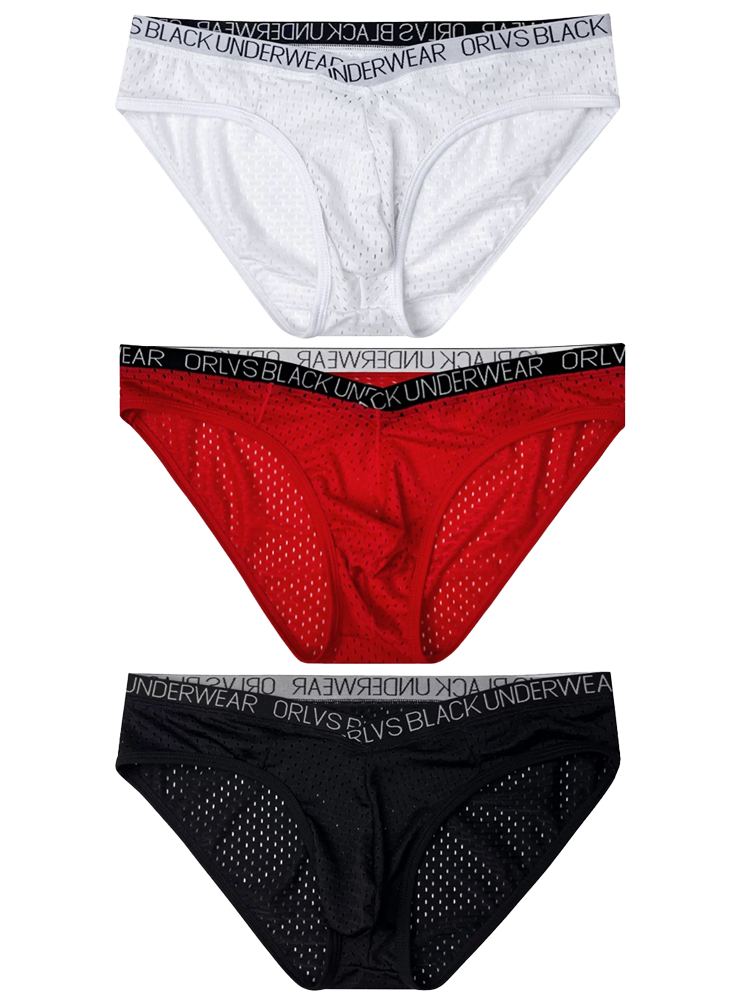 2 Pack Men's Sexy V-shape Waistband Mesh Bikinis