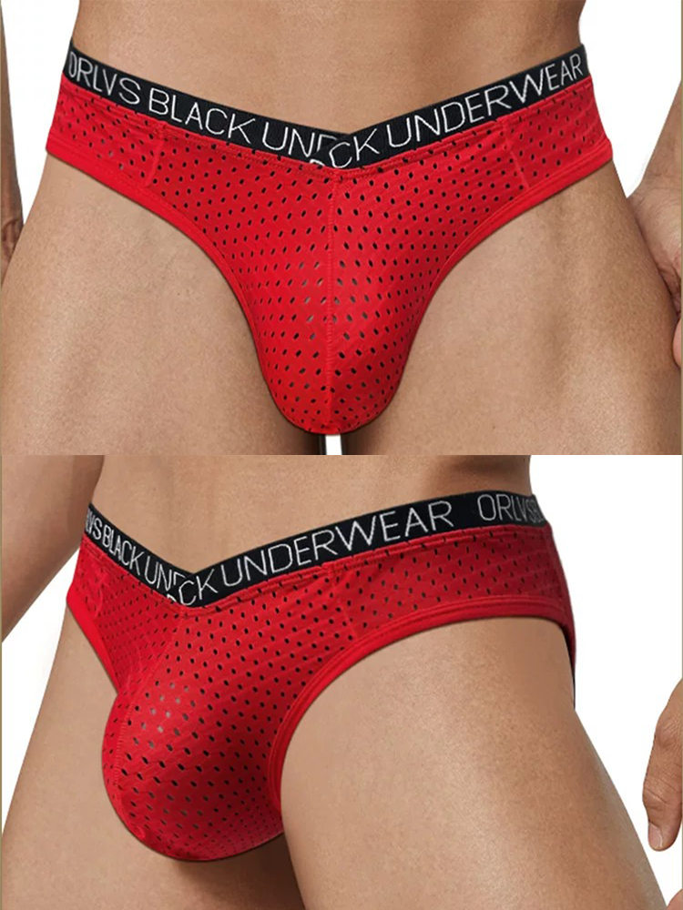 2 Pack Men's Sexy V-shape Waistband Mesh Bikinis