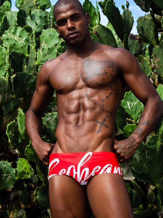 Men's Sexy Low-rise Swim Trunks
