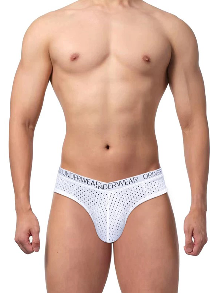2 Pack Men's Sexy V-shape Waistband Mesh Bikinis