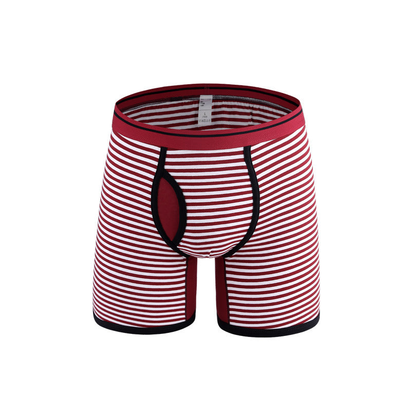 Men's Striped Plus Size Boxer Brief Fly Front with Pouch