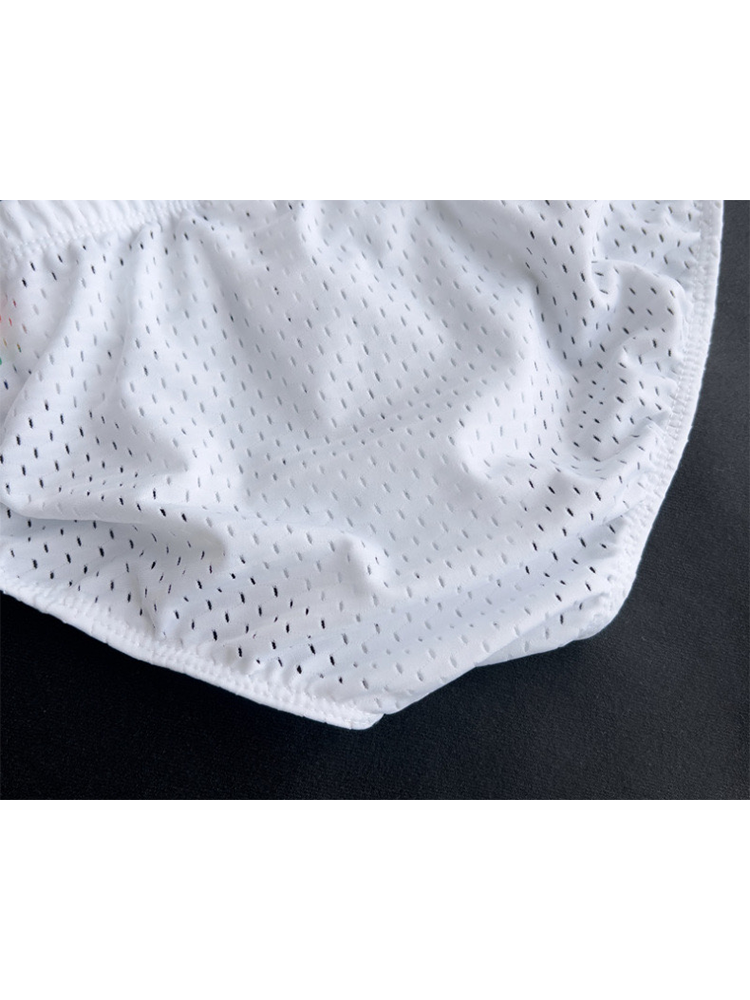 Men's Sexy Rainbow Pride Mesh Bikini