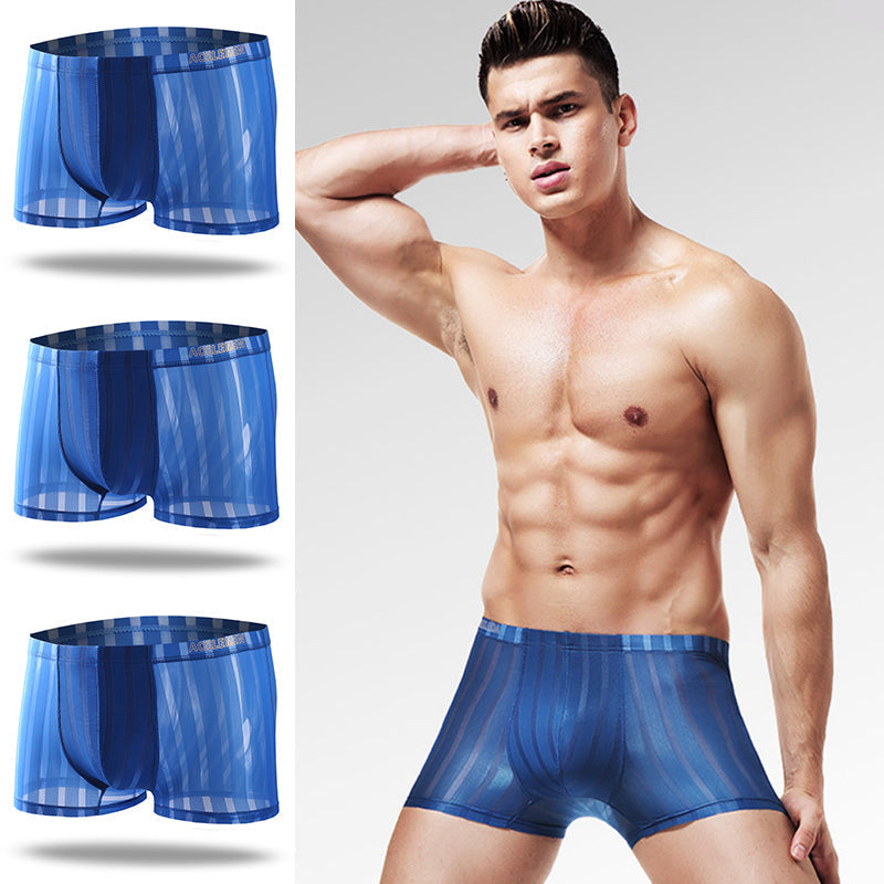 3 Pack See Through Breathable Men's Underwear
